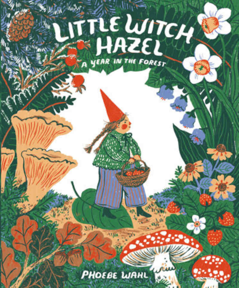 Little witch hazel A year in the forest